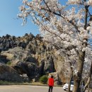 금월봉관광지 이미지