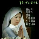 📹[해외감동사연] 독일 국영방송 한국 취재 중 렌즈에 담긴 기막힌 순간에 지구촌이 발칵! 이미지