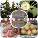 임실치즈골 은주네농장 | 임실치즈골은주네농장고품질정형과생산완료