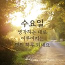 12월 14일(수) 어제 12회 동창들과 서촌마을에서 보내면서 맛집 이야기 이미지