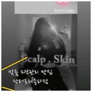 닥터포레 두피 피부센터 송파점
