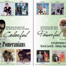 디오레 포메라니안 이미지