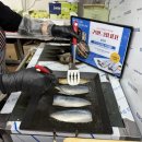 자연애퀵&쿡 이미지