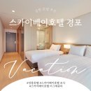 쉘 모텔 | [문스룸]강릉 스카이베이 호텔 경포-이그제큐티브 오션뷰 더블룸*조식 포함 *내돈내산│세인트존스 호텔...