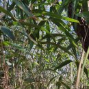 장암보건진료소 이미지