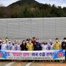 세인푸드 이미지