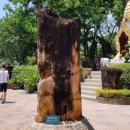 범수농장2 이미지