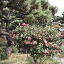 해운대구청 이미지