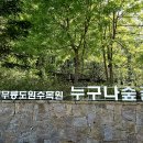 자연생태공원 자연생태박물관 이미지
