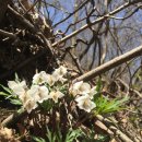 유왕별서 이미지