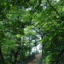 올레길 산림형 3코스 이미지