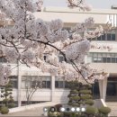 서문여자고등학교 이미지