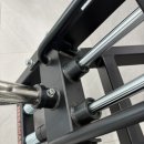 YoungSan Personal Training Center | 세종 반곡동 집현동 헬스장 아이브 피트니스 | 메가메스(MEGAMASS)리니어 티바로우 머신✨입고✨