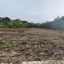 금영농장 이미지