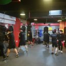 Bee Boxing Gym 이미지