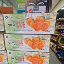 2024년 11월 공연 이미지