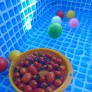 도연부동산공인중개사사무소 이미지