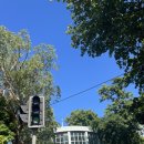 리우스포츠 | 브라질 | 리우데자네이루에서 행글라이딩(Hang Gliding) 후기