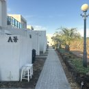 사계 해담은 이미지