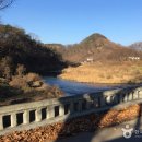 옥화 Daum카페