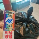서래수산 | 제철맞은 활새우먹으러 인천 소래포구 종합어시장 당일치기여행 다녀오다 🦐🦐 (+레인보우수산)