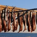 오천365올바른정형외과마취통증의학과의원 이미지