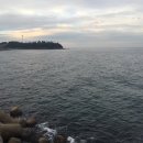 대포항 - 청주시 서원구 | 대포항