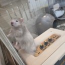 (주)폴리모프 이미지