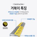 거북이안전