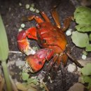 CW-2016-01 이미지