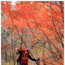 매산박골 이미지