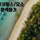 서비스 분석