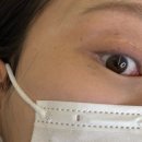 원도안로-16 | 대전 속눈썹 연장 오드뱅에서 인생 눈매 찾고 온 마스카라 연장 솔직후기