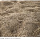 알곡농장 이미지