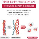 젤셀(JELLCELL) | ​콜라겐구미 추천 씹어먹는 베리솔콜라겐으로 40대 여자 피부관리도 맛있게