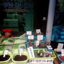 웰빙건강원 이미지