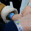 더놀자PC 이미지