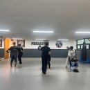 파라에스트라하계주짓수mma
