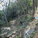 돌산종묘수산 Daum카페