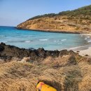 스테이 도노 | 제주 애견동반 펜션 &lt;스테이도노&gt; 넘나 소중한 제주도 독채 펜션