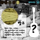 [북부] 우쿨렐레 이미지