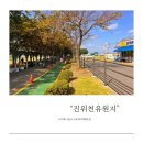 진위천유원지 자동차야영장 | 평택:) 아이, 부모님과 나들이로 좋은 진위천유원지