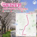 벚꽃주유소 이미지