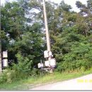 차령고개로 이미지