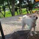 대천용두야영장 이미지