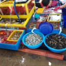 영진해오름 이미지