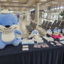 경남관광안내소(사천공항) 네이버블로그