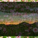 네이버카카오<b>맵</b>으로 <b>코로나</b> 국민보조금 내비게이션