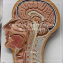 서울한의원 | 서울비염한의원에서 만성 비염치료 받은 내돈내산 후기