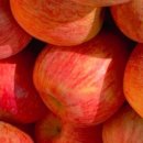 연두사과 이미지